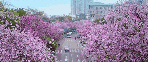 553f1a8009d8fd977e59ab416035c788.gif