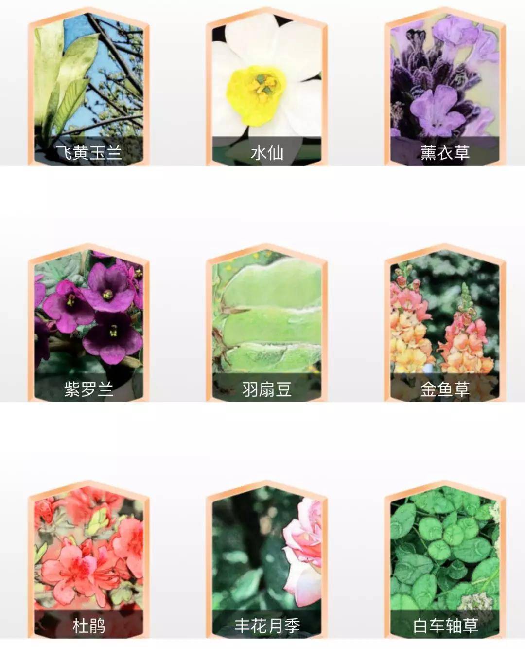 微信图片_20190418093125.jpg