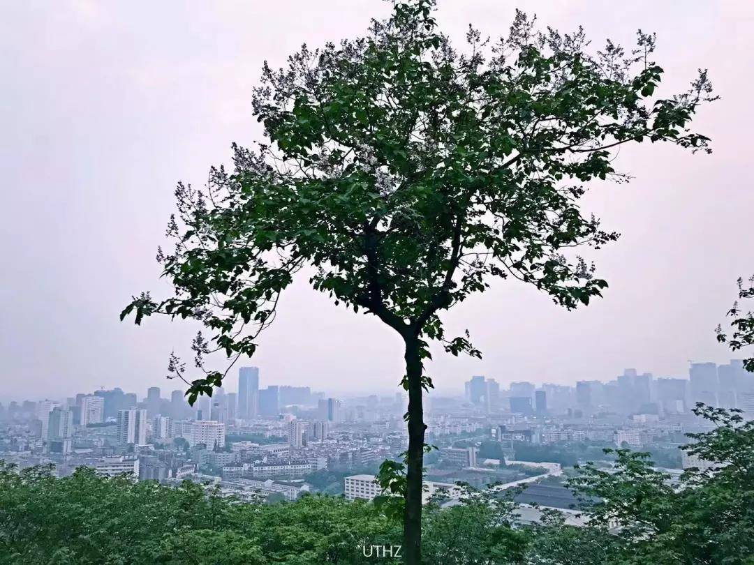 微信图片_20190507105719.jpg