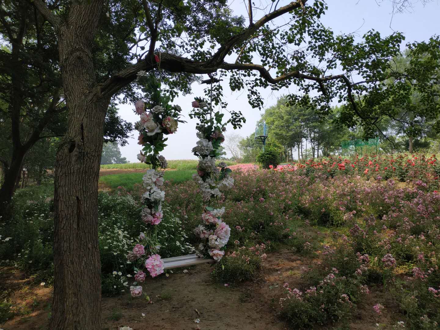 微信图片_20190514094755.jpg