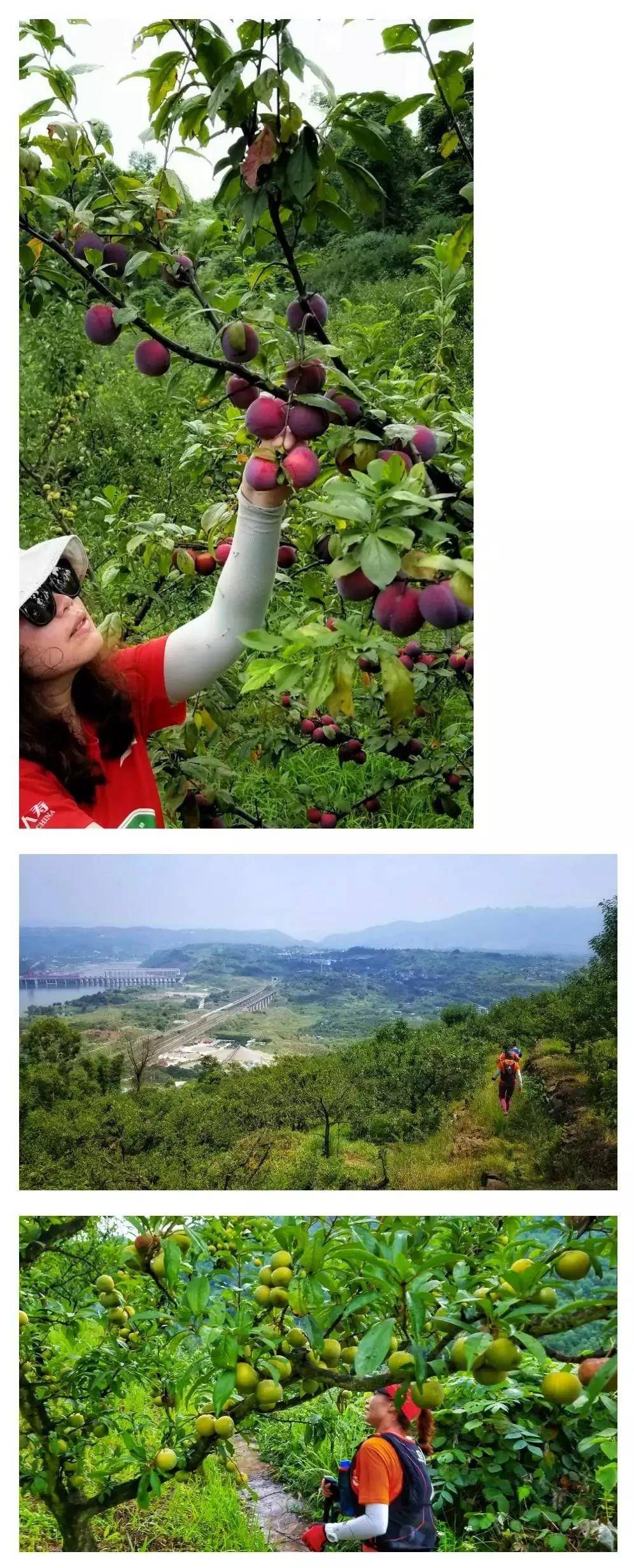 微信图片_20190517091923.jpg
