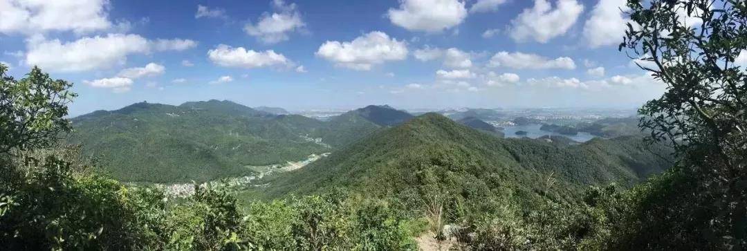 微信图片_20190520095211.jpg