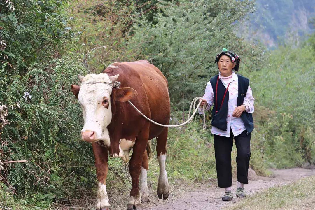 微信图片_20190621092448.jpg