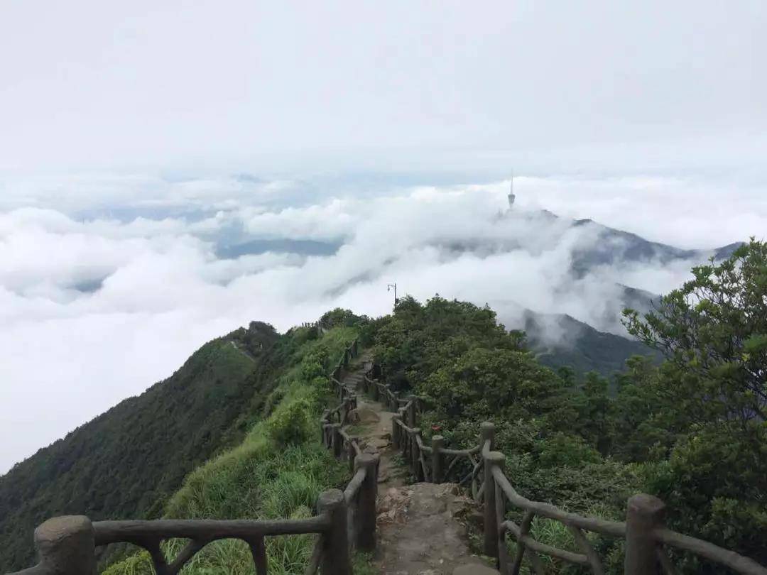 微信图片_20190709094909.jpg