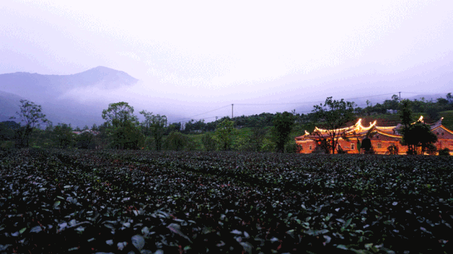 微信图片_20190719145309.gif