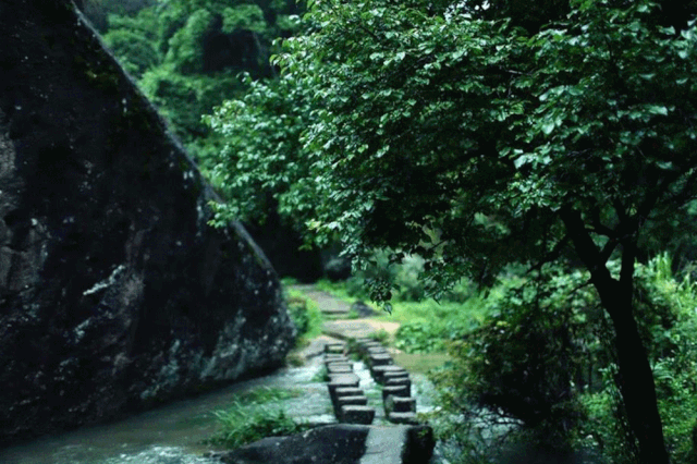 微信图片_20190719145331.gif