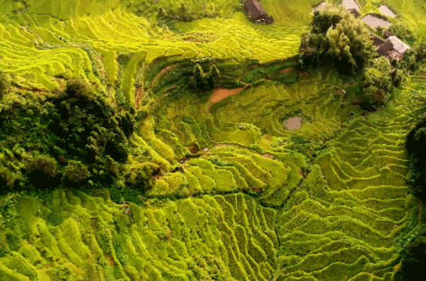 微信图片_20190815154054.gif