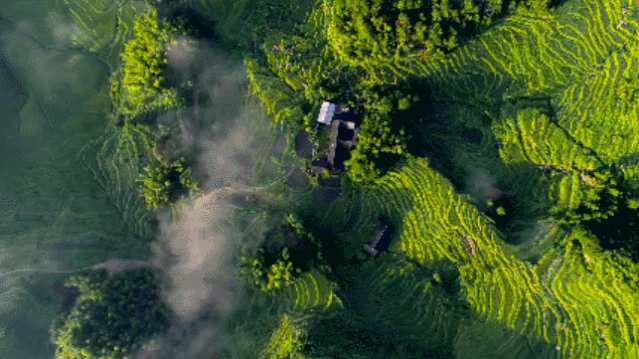 微信图片_20190815154100.gif