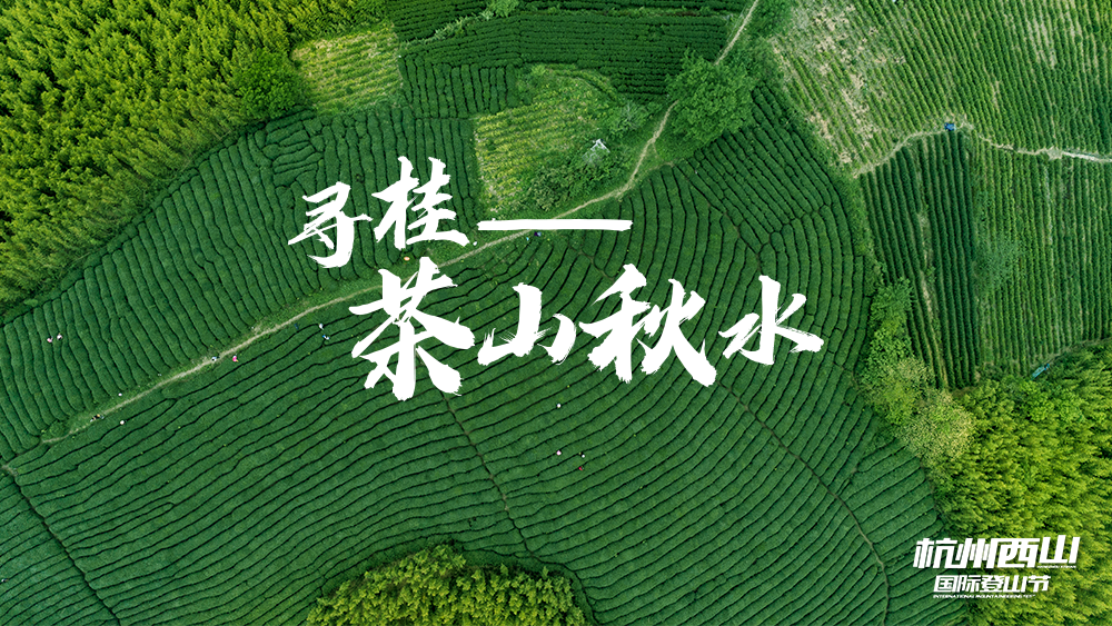 主图55.png