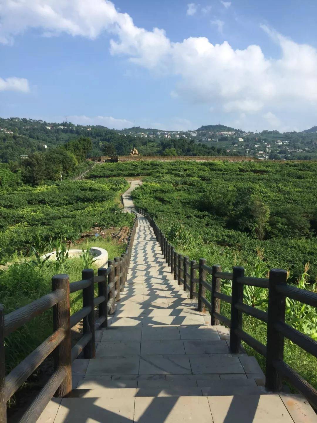 微信图片_20190829094032.jpg