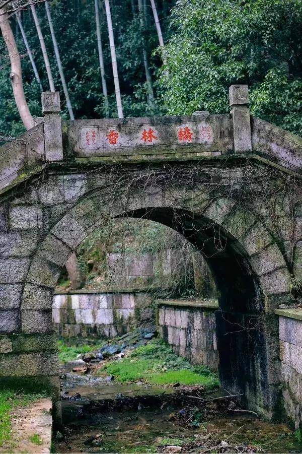 微信图片_20190915163602.jpg
