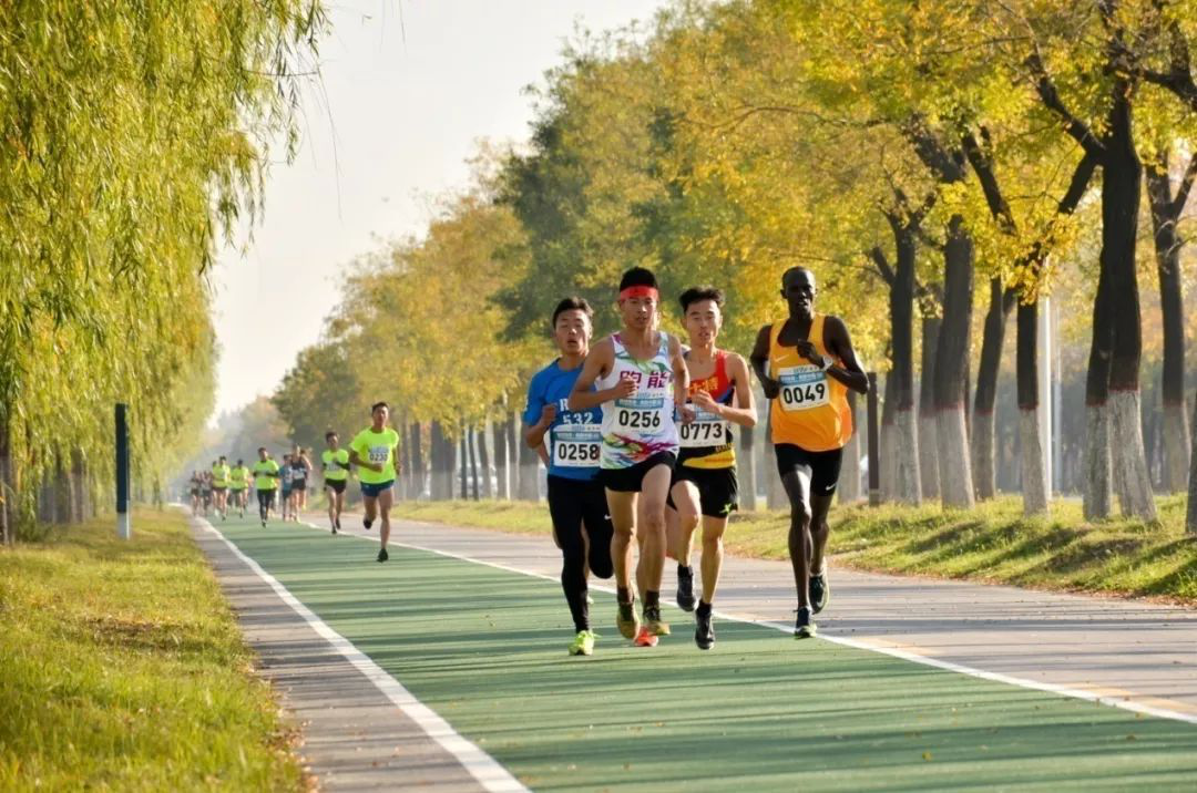 图片18.png