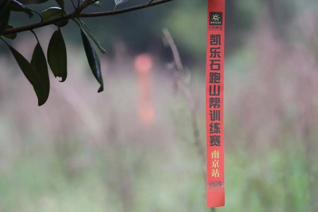 微信图片_20200513140910.jpg