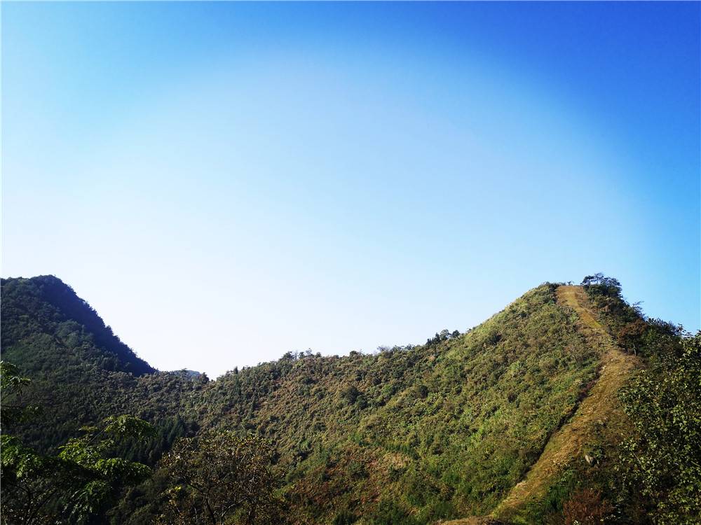 微信图片_20201015102803_副本.jpg