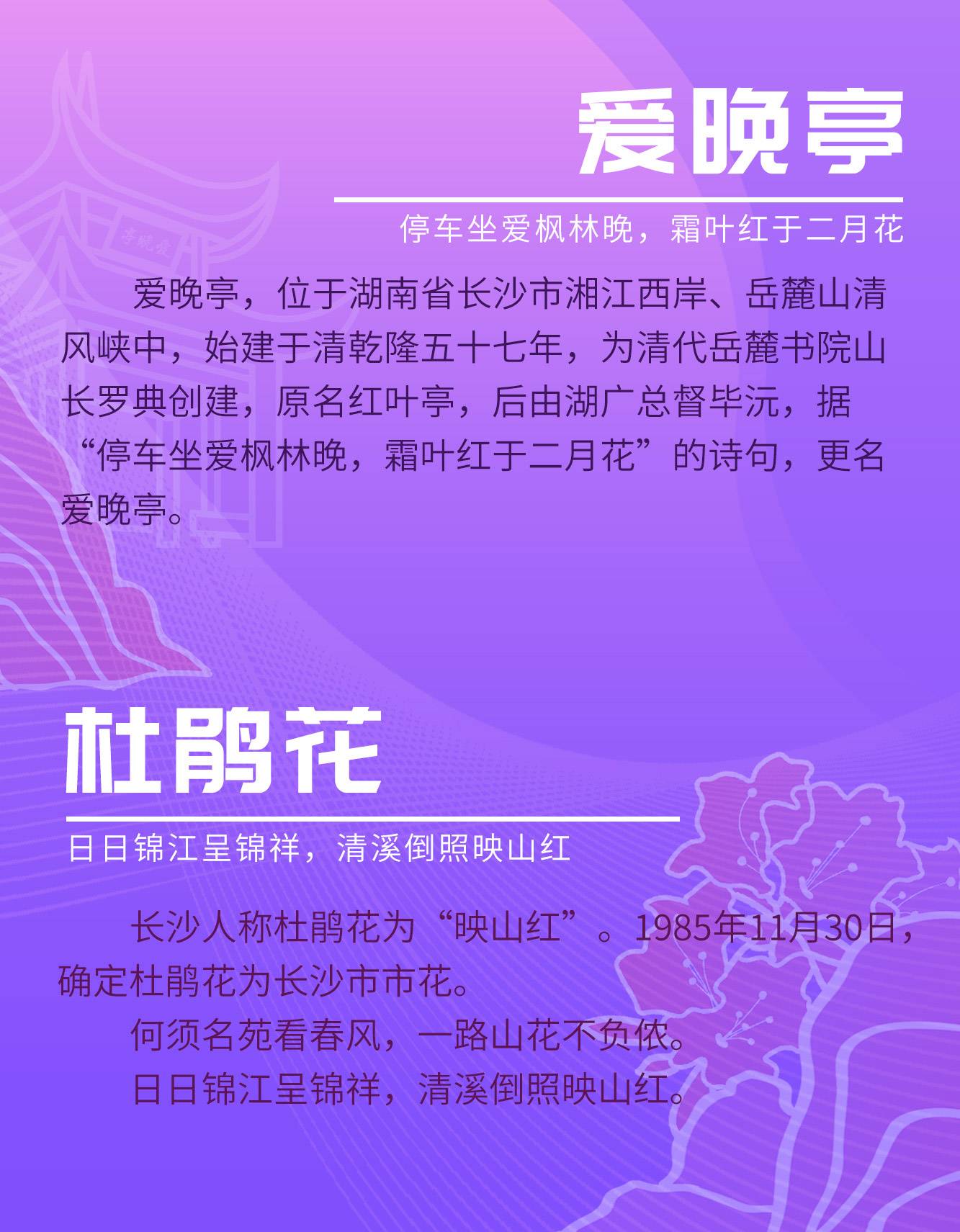 长沙奖牌详情_04.jpg