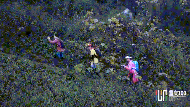 微信图片_20201207160750.gif
