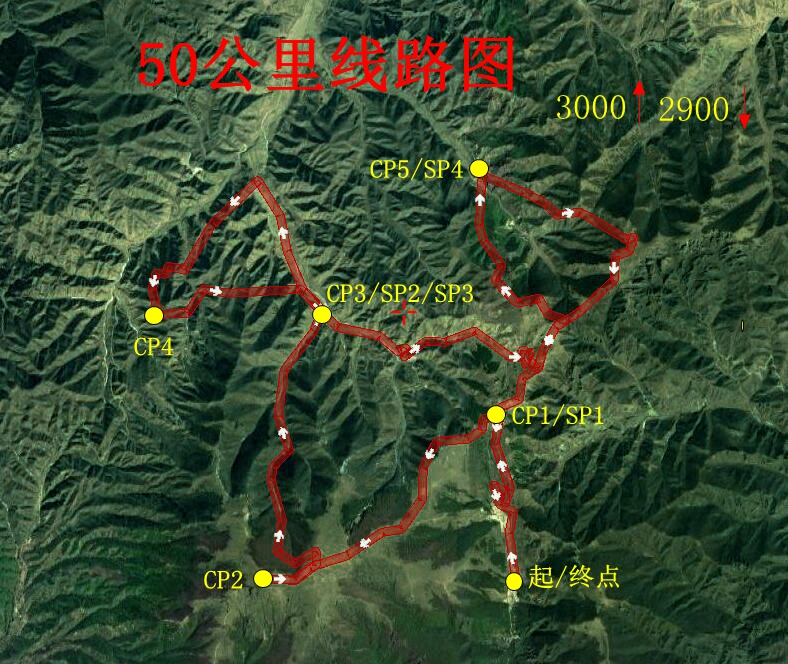 图片14.png