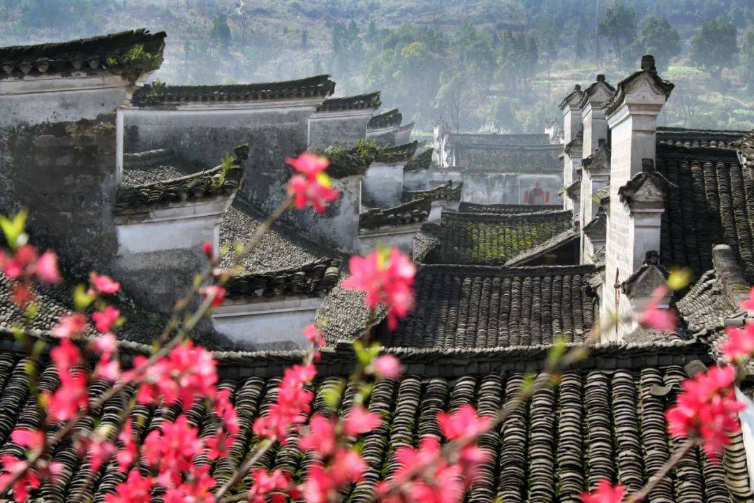 微信图片_20220822114536.jpg