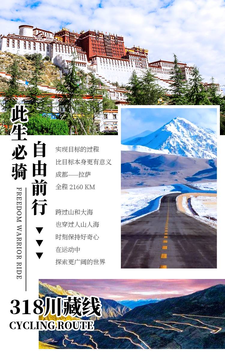 详情页_03.jpg
