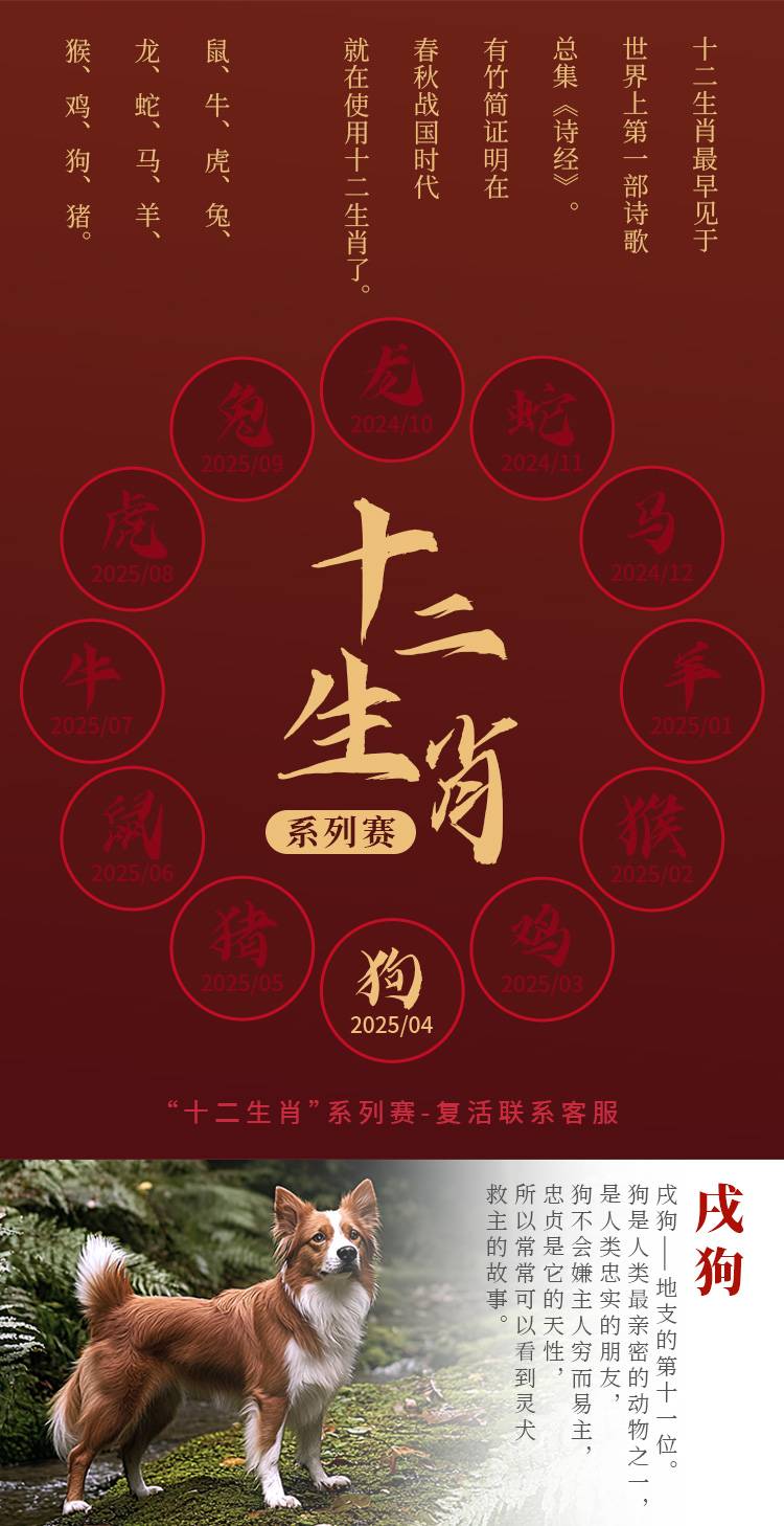 详情_02.jpg