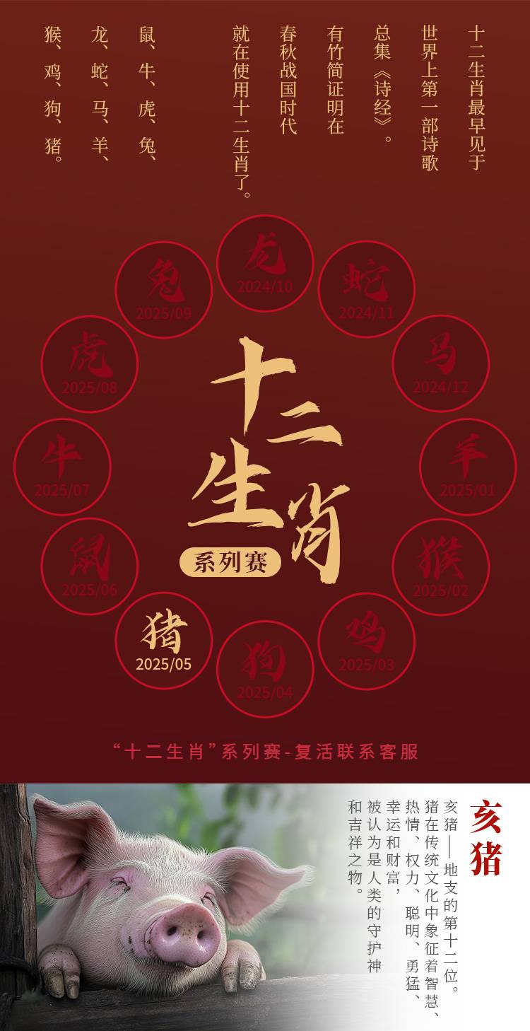 详情_02.jpg