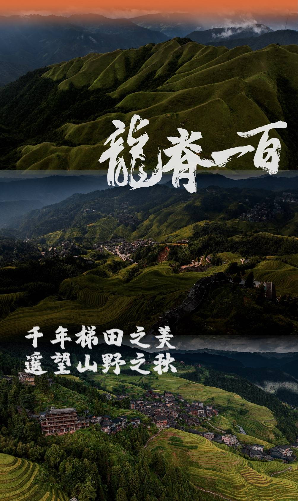 报名帖2.jpg