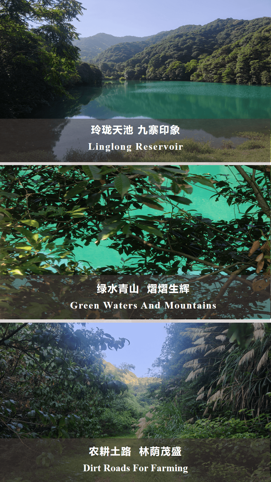 幻灯片14.png