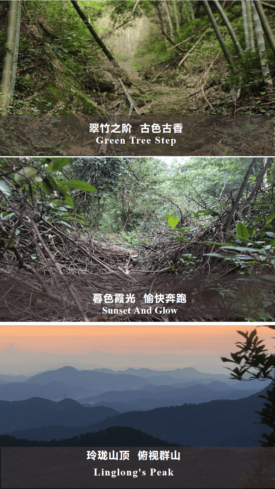 幻灯片15.png