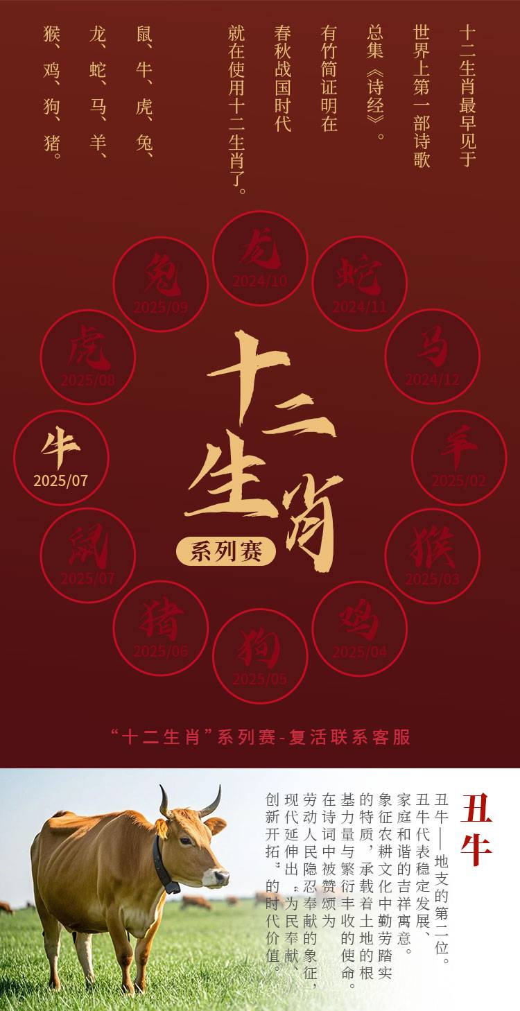 详情_02.jpg