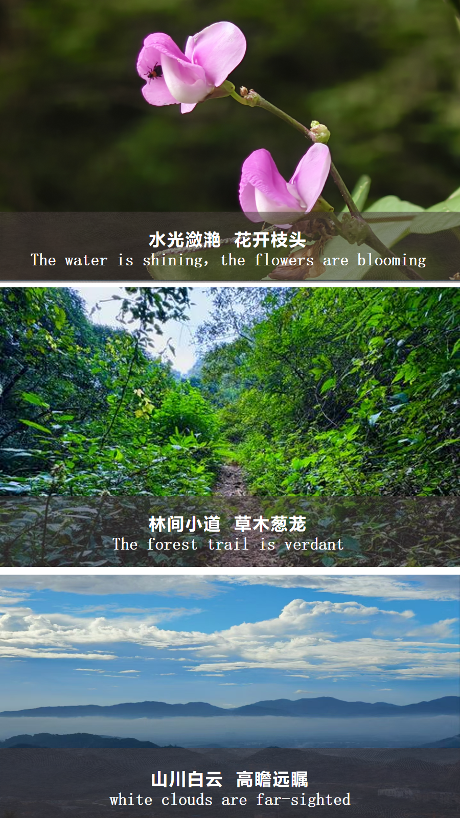 幻灯片16.png