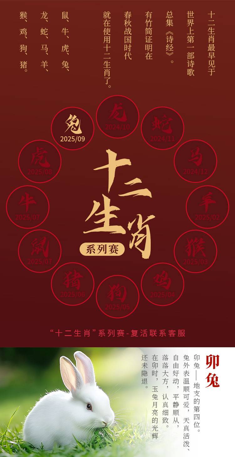 详情_02.jpg