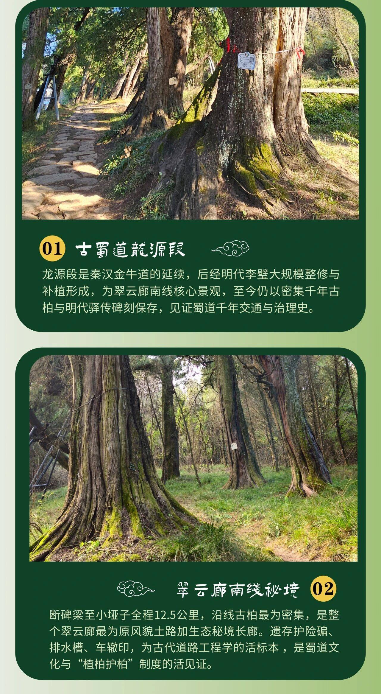 微信图片_2026-10-20_100322_064.jpg